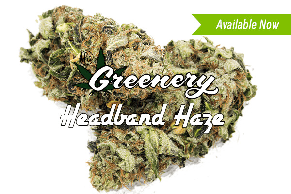 Headband Haze Marijuana strain Durango CO