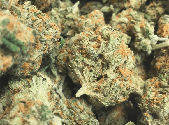 Marijuana Strains - Durango CO - The Greenery