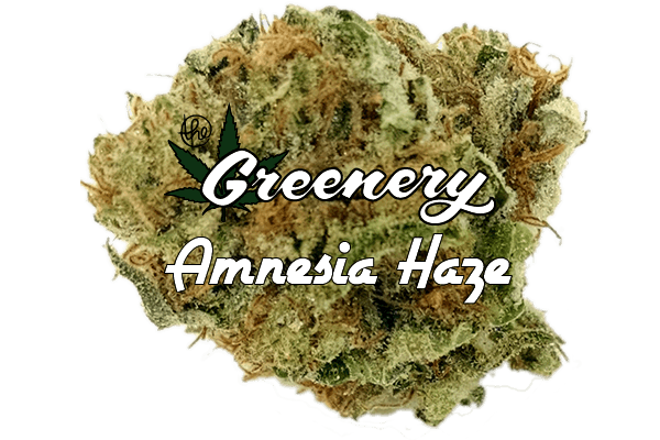 Amnesia Haze