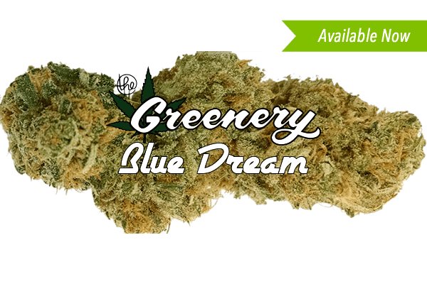 Blue Dream | Durango CO