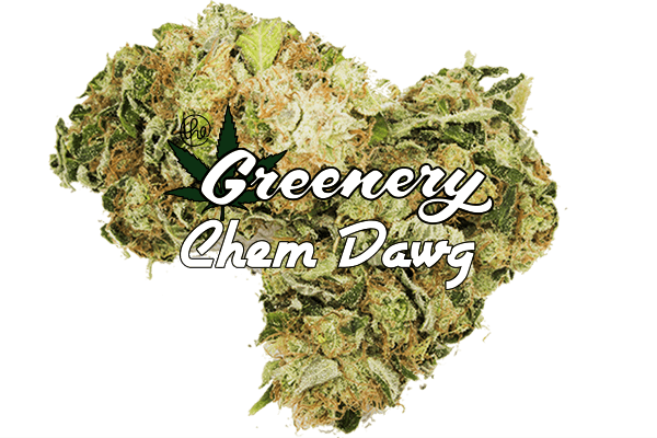 Chem Dawg | Durango CO