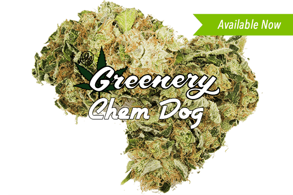 Chem Dawg Marijuana strain Durango CO