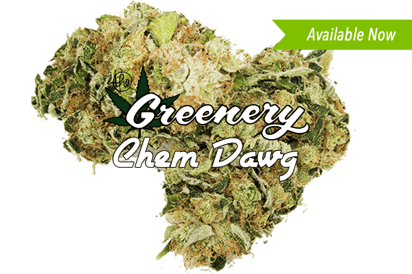 Chem Dawg Marijuana strain Durango CO