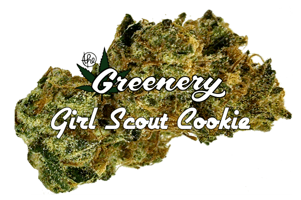Girl Scout Cookies Marijuana strain Durango CO