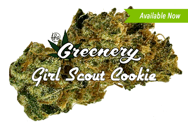 Girl Scout Cookies