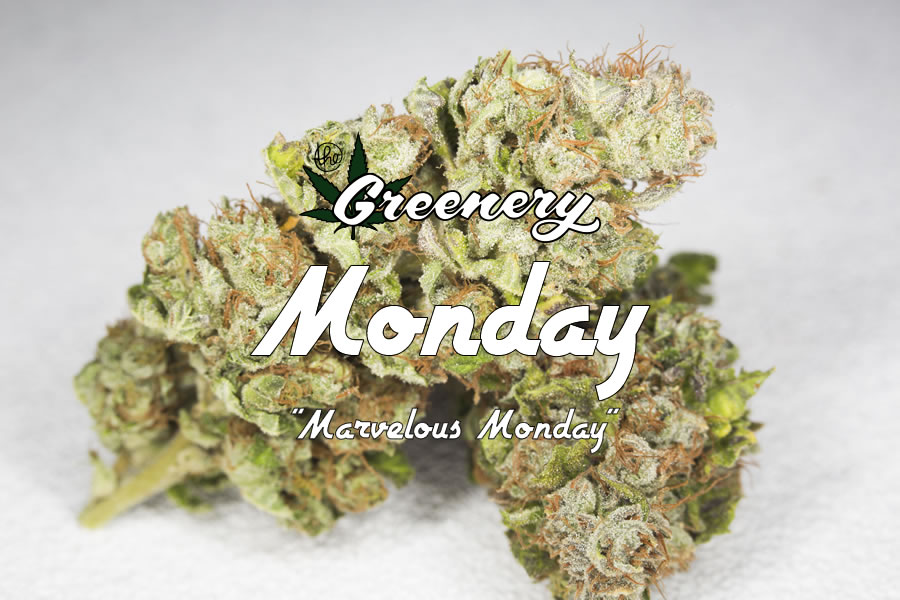 Marijuana Strains - Durango Co Marvelous Monday