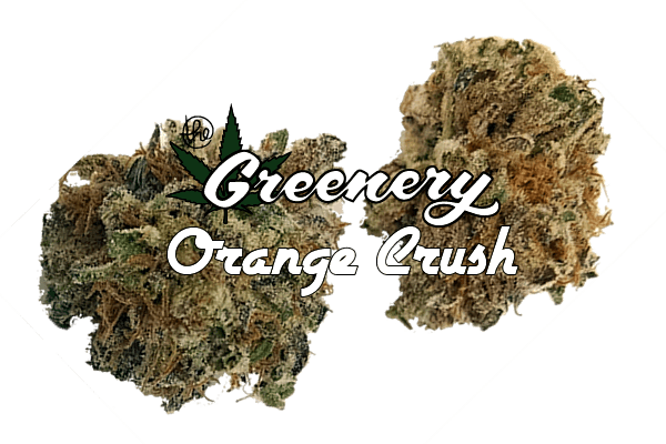 Orange Crush