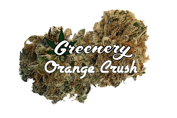 Orange Crush Marijuana strain Durango CO
