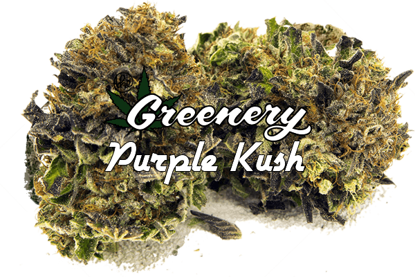 Purple Kush