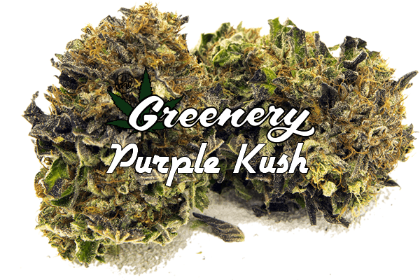 Purple Kush| Durango CO