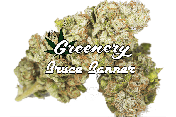 Bruce Banner strain