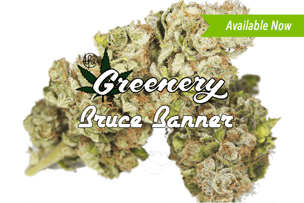 Bruce Banner #3 Marijuana strain Durango CO