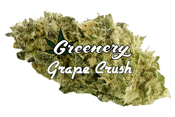 Grape Crush