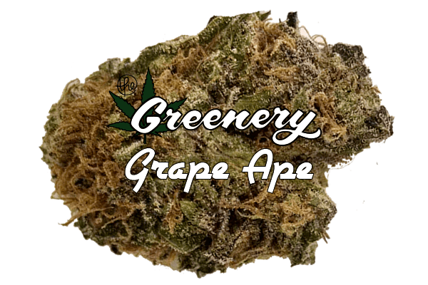 Grape Ape strain