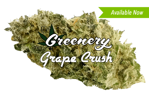Grape Crush | Durango CO