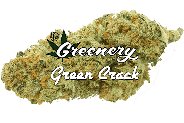 Green Crack