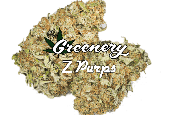 Z Purps