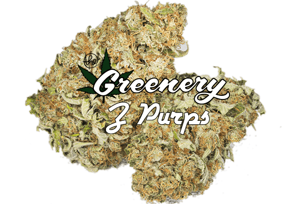 Z Purps | Durango CO