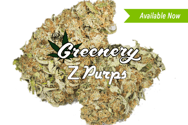 Z Purps | Durango CO