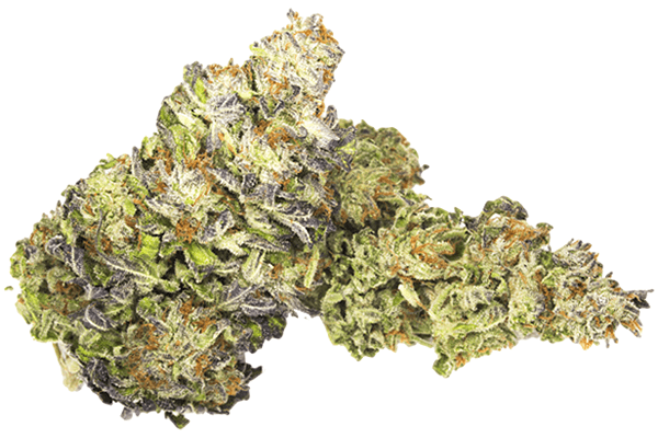 Tangerine Marijuana strain Durango CO