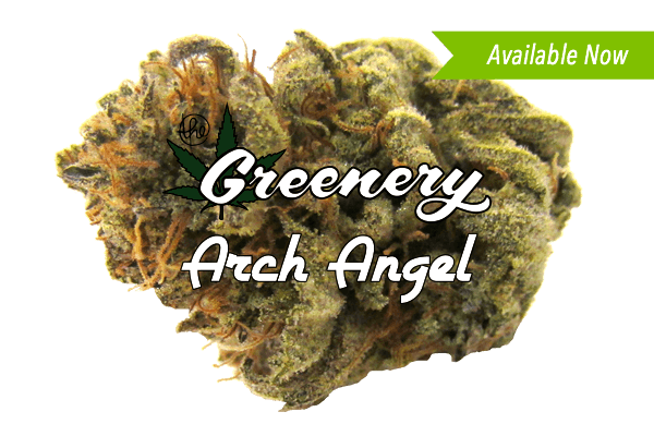 Arch Angel marijuana strain Durango CO