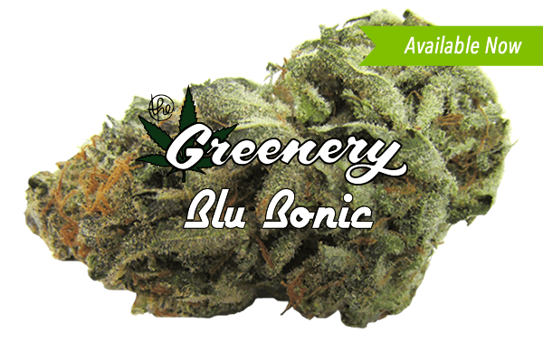 Blu Bonic Durango CO