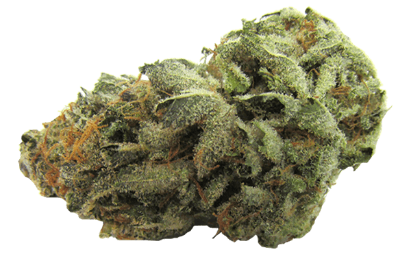 Blu Bonic Durango CO