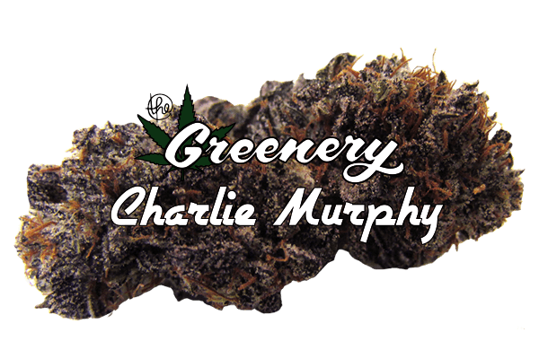 Charlie Murphy Marijuana strain Durango CO
