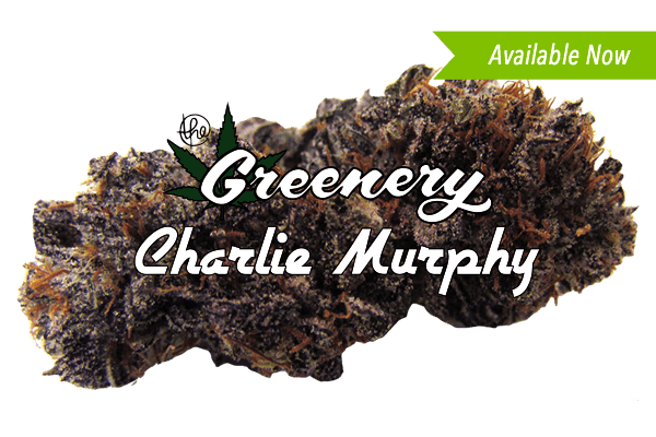 Charlie Murphy Marijuana strain Durango CO