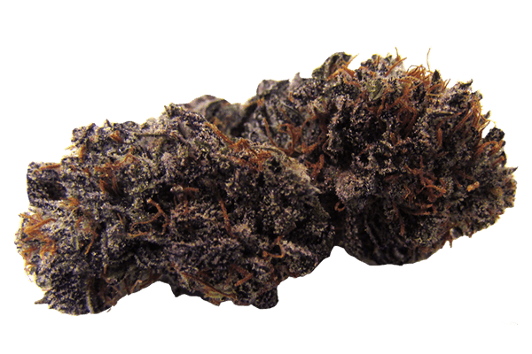 Charlie Murphy Marijuana strain Durango CO