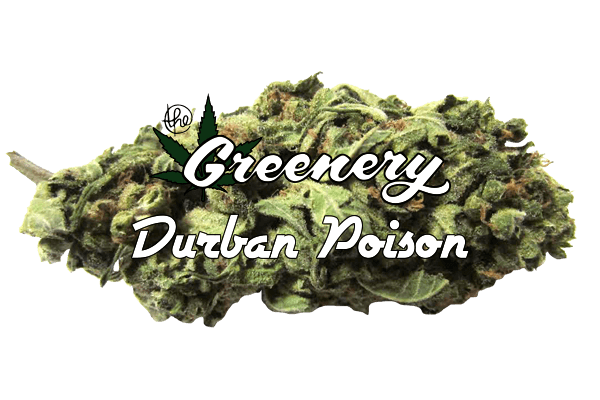 Durban Poison Durango CO