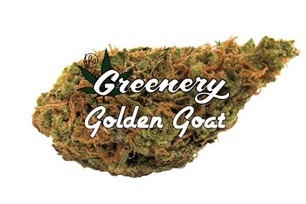 Golden Goat | Durango CO