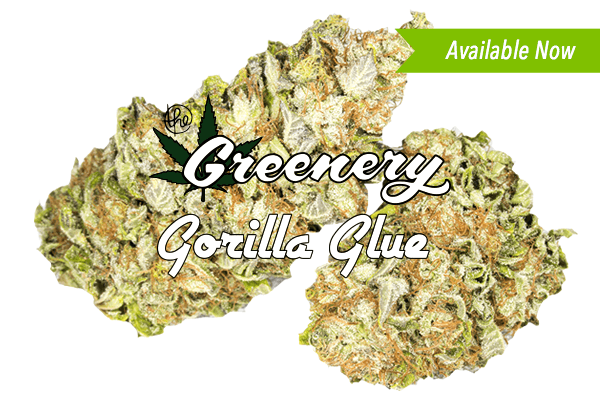 Gorilla Glue | Durango CO