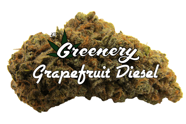 Grapefruit Diesel | Durango CO