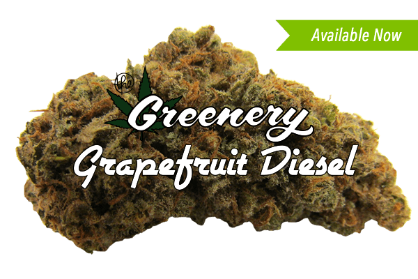 Grapefruit Diesel marijuana strain Durango CO