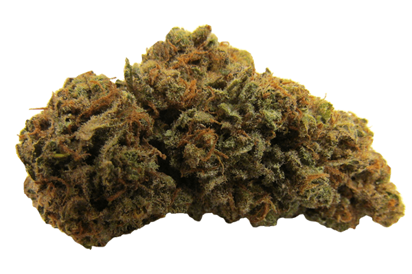 Grapefruit Diesel marijuana strain Durango CO