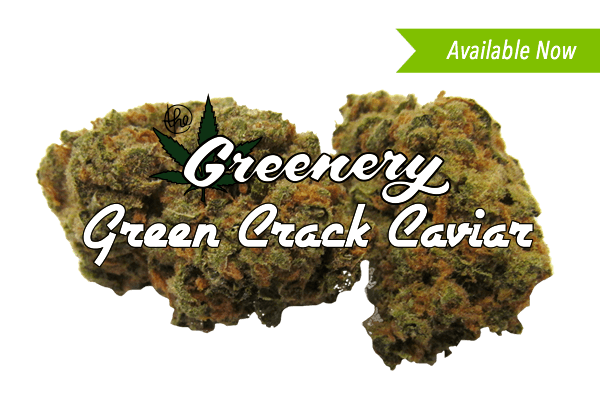 Green Crack Caviar Marijuana strain Durango CO