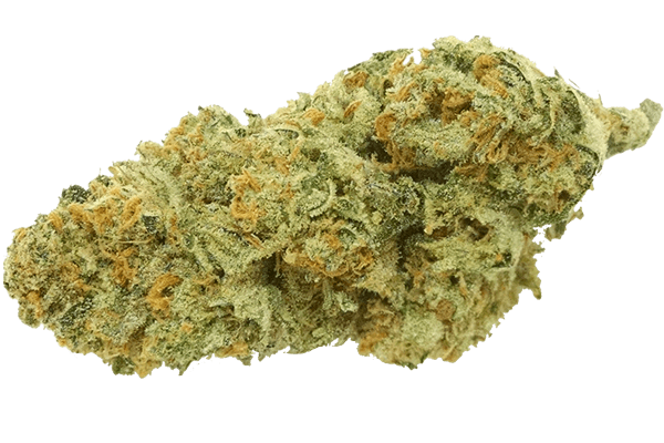 Green Crack Marijuana strain Durango CO