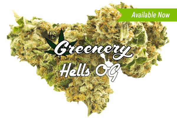 Hells OG