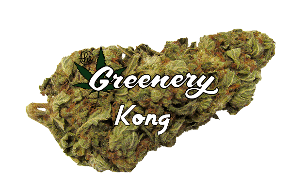 KONG Marijuana strain Durango CO