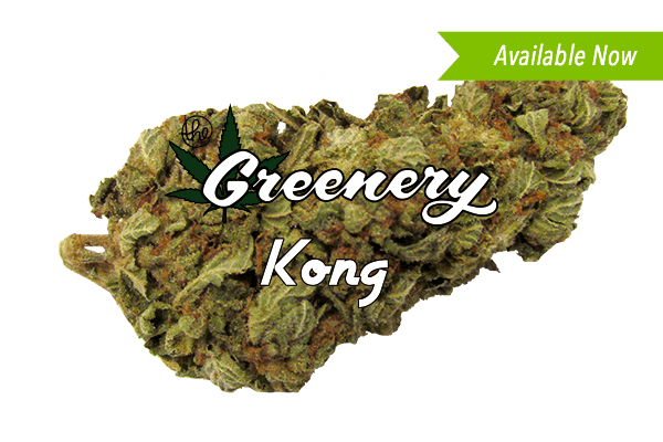 KONG Marijuana strain Durango CO