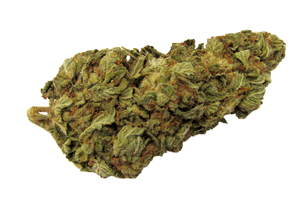 Kong Marijuana strain Durango CO