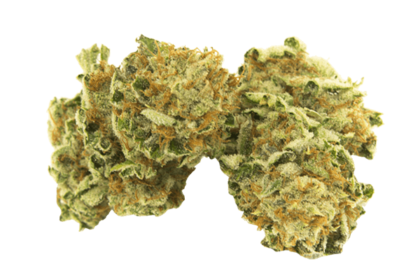 Kromes The White Durango CO