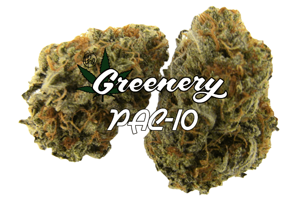 PAC 10 Marijuana strain Durango CO