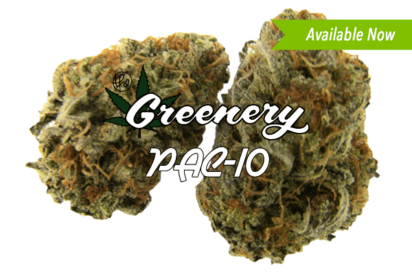 Pac 10 Marijuana strain Durango CO