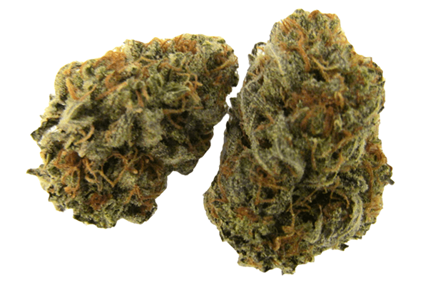 PAC 10 Marijuana strain Durango CO