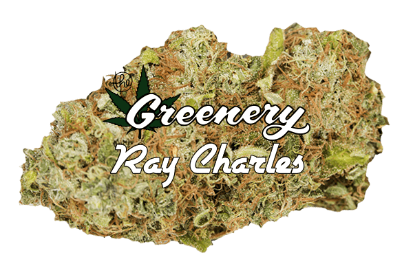 Ray Charles Durango CO