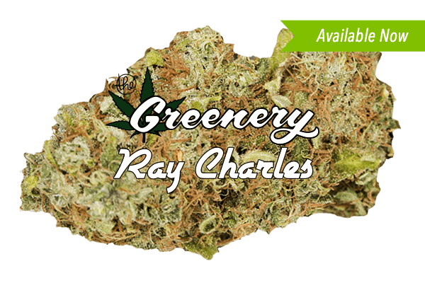 Ray Charles Marijuana strain Durango CO
