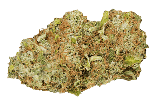 Ray Charles Marijuana Strain Durango CO