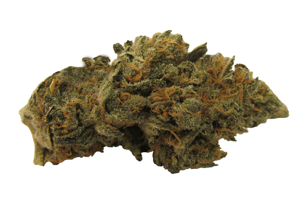 Romulan Marijuana strain Durango CO